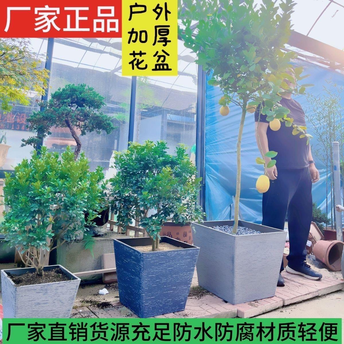 正方形花盆客厅北欧彷石纹理塑料花盆室内庭院大口径树脂花盆柠檬