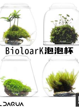 Bioloark生物方舟泡泡杯生态瓶露集杯苔藓瓶桌面微景观玻璃瓶