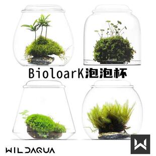 Bioloark生物方舟泡泡杯生态瓶露集杯苔藓瓶桌面微景观玻璃瓶