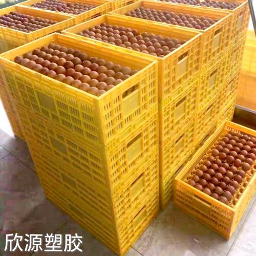 鸭蛋收纳筐鸡蛋周转筐塑料蛋托托盘托架整理筐塑胶物流筐可折叠筐