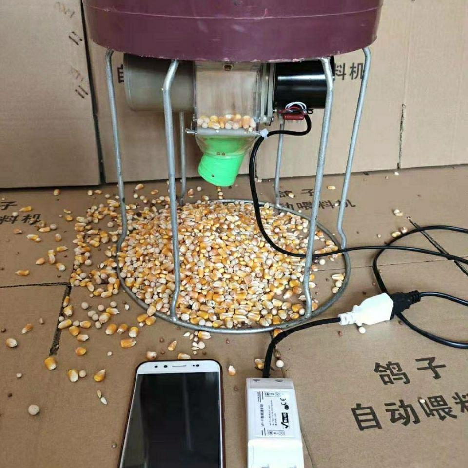 鸽子用品用具自动喂食器信鸽食槽定时鸡鸭鹅兔自动喂水器