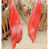 网袋装 玉米西瓜南瓜土豆蔬菜网兜鸡鸭塑料网眼编织袋家禽网袋