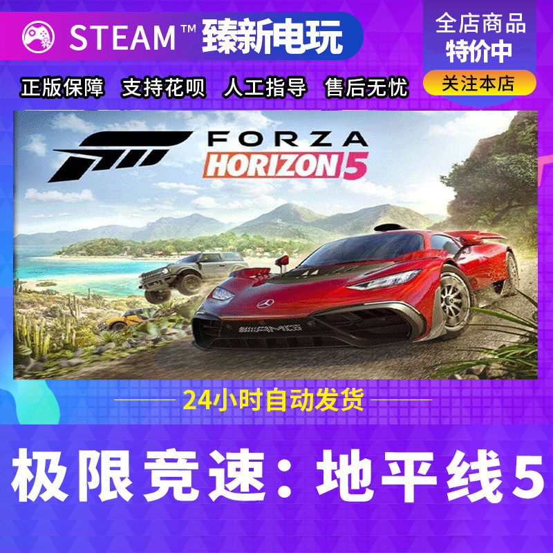Steam游戏ForzaHin5极