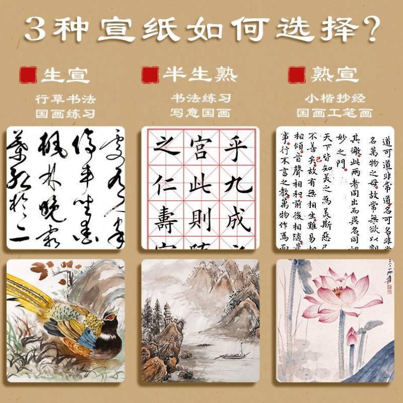 宣纸书法专用纸半生半熟加厚宣纸初学者毛笔字纸工笔画国画专用生
