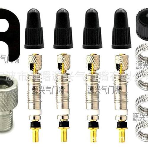 厂家现货 法式气门芯 山地车法式气门芯套装