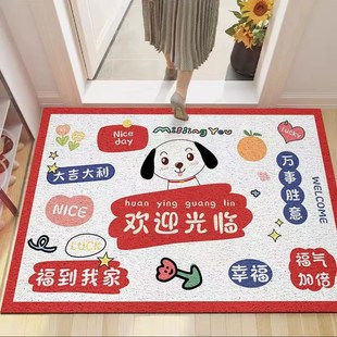 丝圈地垫入户门口耐脏进门垫出入平安G玄关免洗脚垫家用可剪裁垫
