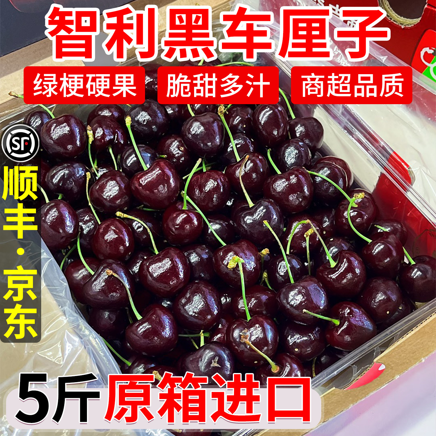 黑珍珠智利车厘子5斤装礼盒樱桃新鲜水果包邮4j整箱3J拉宾斯特大,水产肉类/新鲜蔬果/熟食,车厘子/樱桃,淘宝优惠券,粉丝福利购,淘宝优惠卷
