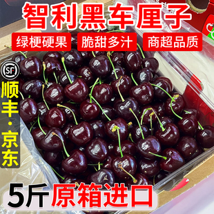 黑珍珠智利车厘子5斤装礼盒樱桃新鲜水果包邮4j整箱3J拉宾斯特大