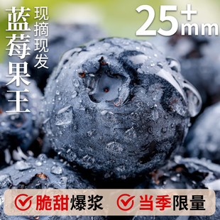 云南蓝莓新鲜水果当季蓝梅鲜果现摘高山怡颗孕妇大果整箱顺丰包邮