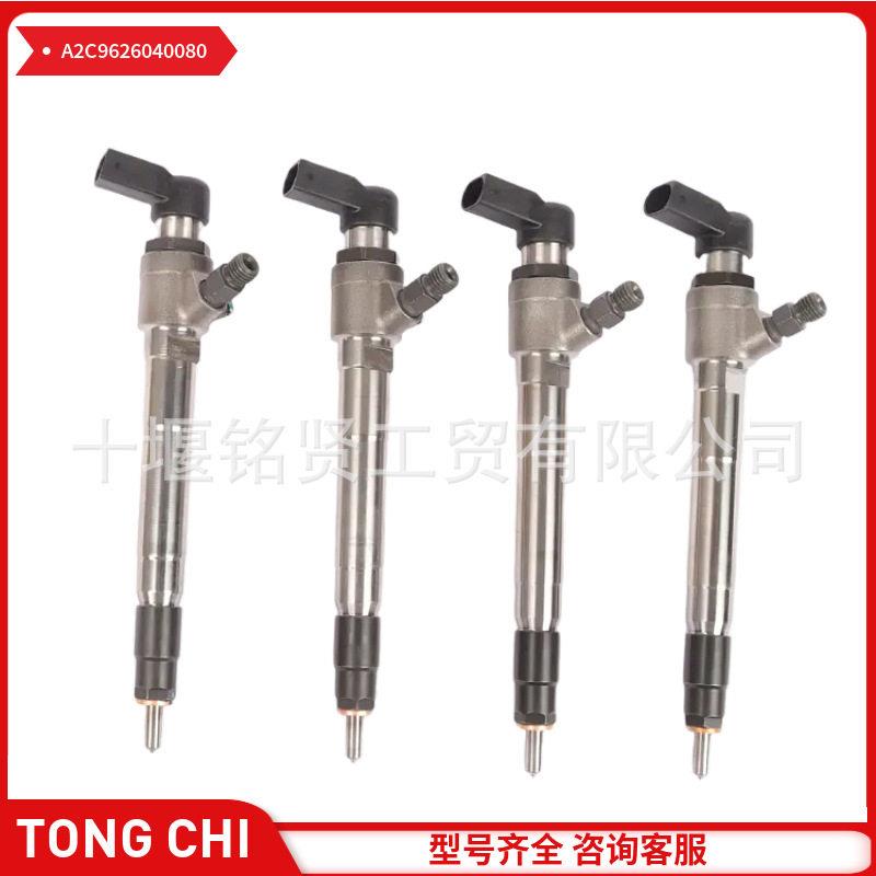 共轨喷油器A2C9626040080用于1.6TDI发动机系列零件