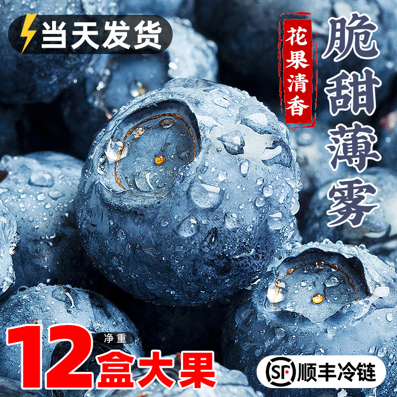 蓝莓鲜果新鲜高端水果当季蓝梅云高山怡颗南孕妇整箱包邮顺丰