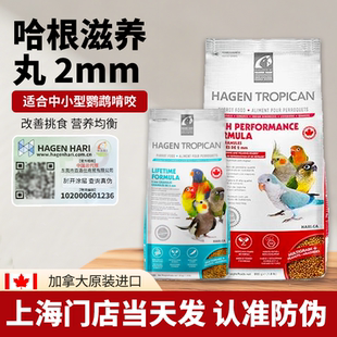 哈根哈利滋养丸鹦鹉高能试吃牡丹玄凤鸟粮食和尚鹦鹉饲料营养进口