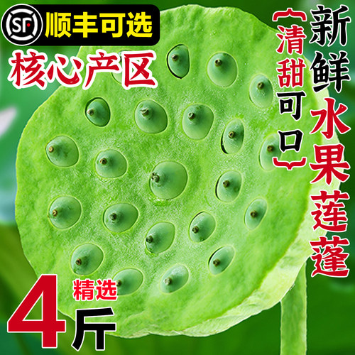 【顺丰冷链】新鲜莲蓬4斤包邮！