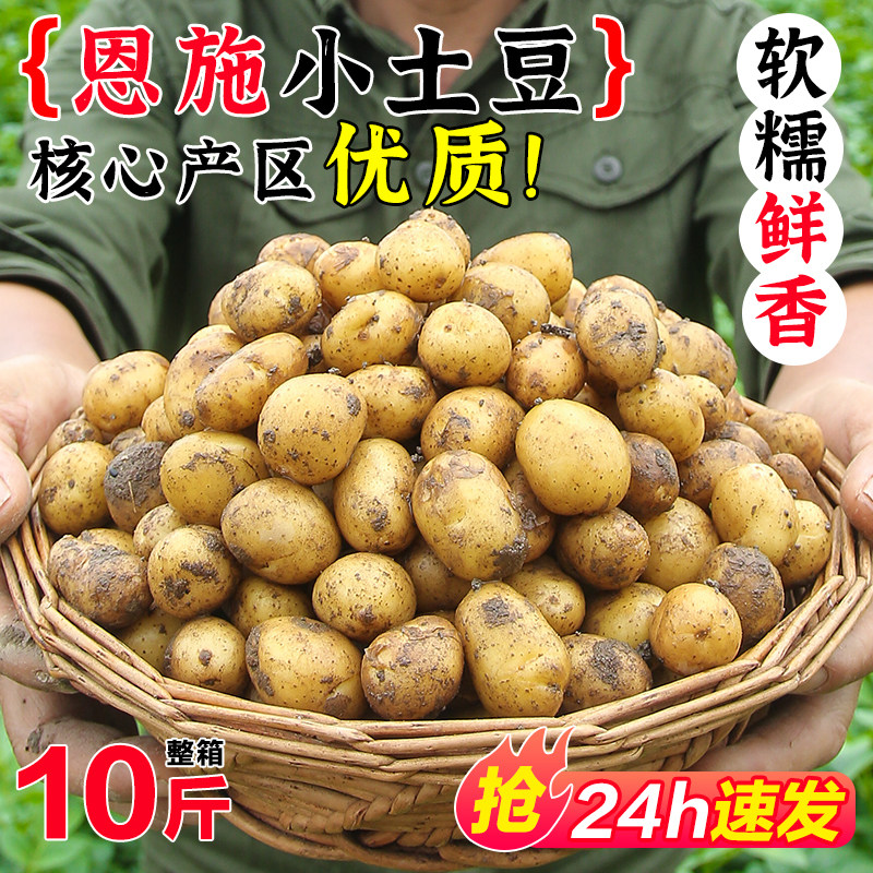 恩施小土豆新鲜现挖9斤装整箱批发黄心大土豆洋芋马铃薯当季蔬菜