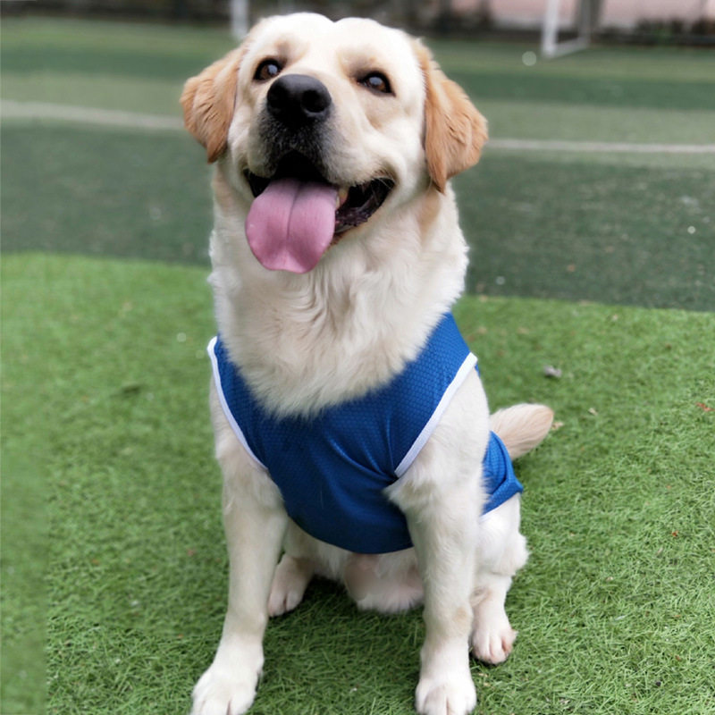 夏天大型犬狗狗衣服金毛衣服边牧拉布拉多萨摩耶大狗衣服薄款