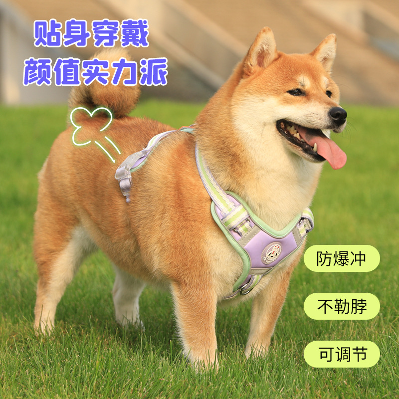 狗狗胸背带背心透气轻薄款式牵引绳防挣脱防爆冲夜间反光反光设计
