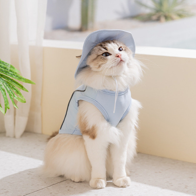 春夏季宠物凉凉衣成幼猫两脚背心狗狗猫咪夏天降温解暑小狗狗衣服