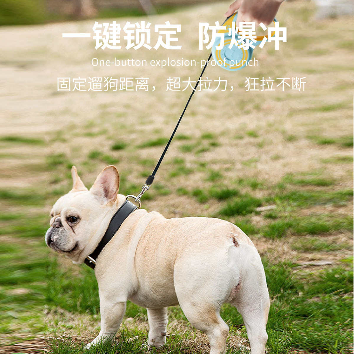 狗狗3米5米牵引绳自动可伸缩狗绳泰迪宠物用品外出小型中型犬