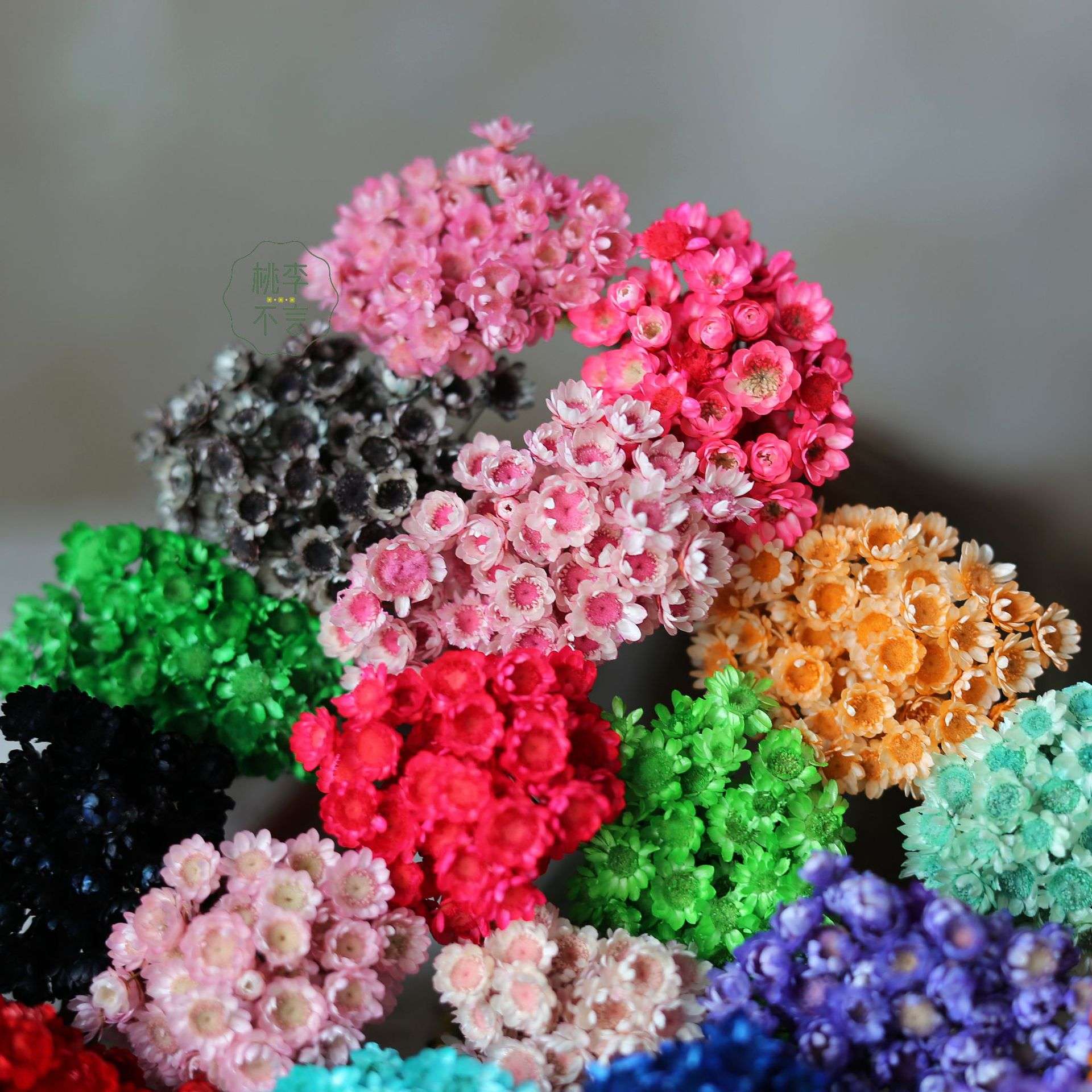 巴西小星花小雏菊干花花束巴西快乐花小山花果冻口红干花