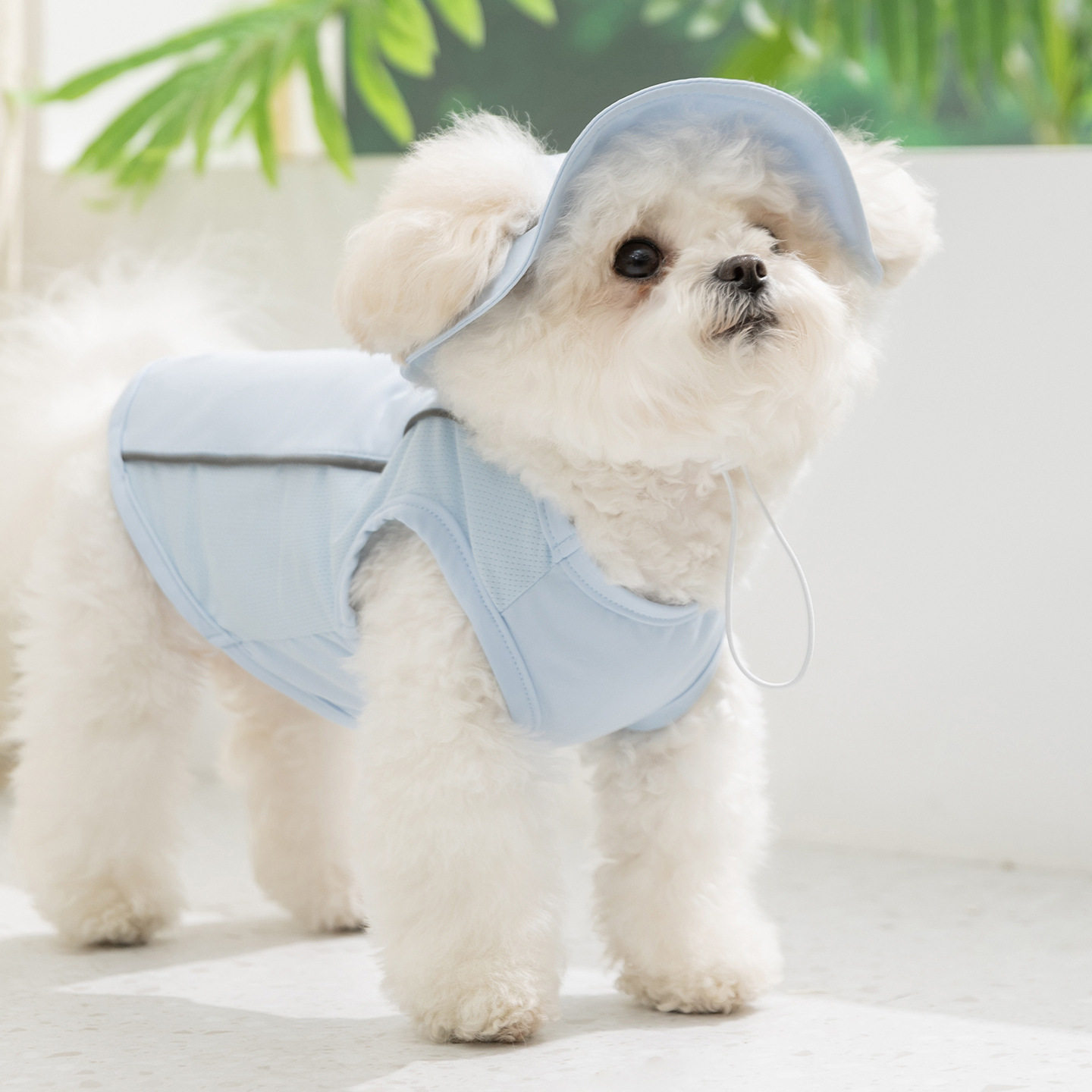 春夏季狗狗户外探险带帽凉凉衣泰迪小型犬背心套装猫咪宠物狗衣服