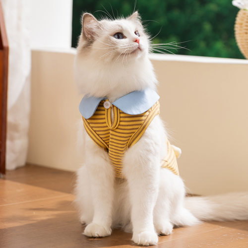 春夏季猫咪衣服立体玩偶条纹居家背心成幼猫薄款透气狗狗宠物服饰