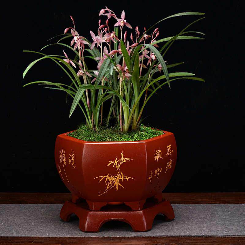 精品六方兰花盆专用盆紫砂花盆手工粉浆刻绘带底座君子兰桌面包邮