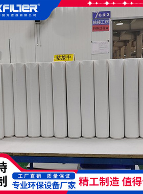 CS604LGDH13天然气滤芯  不锈钢过滤器滤芯 气液分离高效过滤