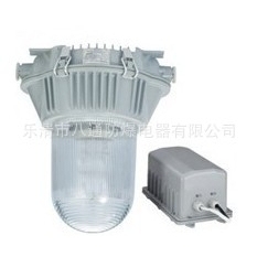 BNFE9180防眩应急泛光灯，NFE9180泛光灯，乐清防眩应急泛光灯