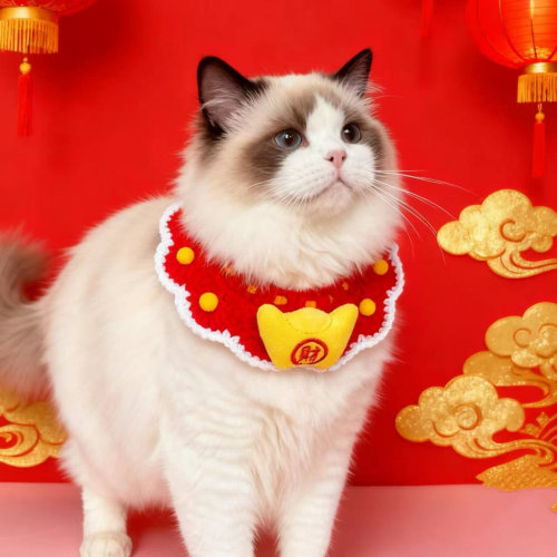 宠物口水巾猫咪围脖小狗项圈