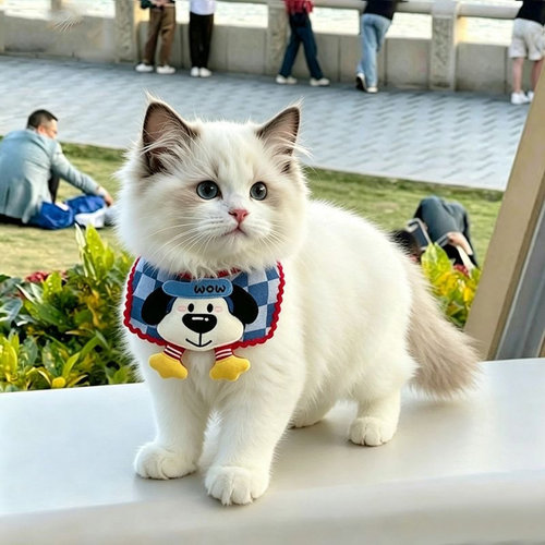 宠物口水巾猫咪围脖小狗项圈