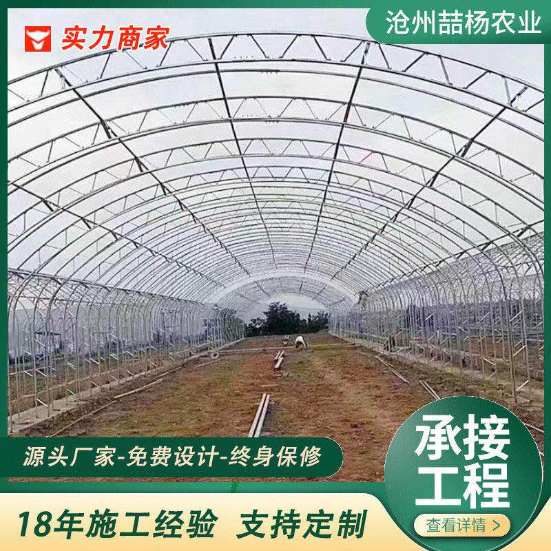 双膜骨架大棚 C型钢骨架大棚 双拱双膜大棚 种植大棚 养殖大棚