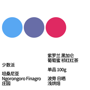 FEW少数派Steam Kissed坦桑尼亚波旁日晒处理手冲咖啡100g