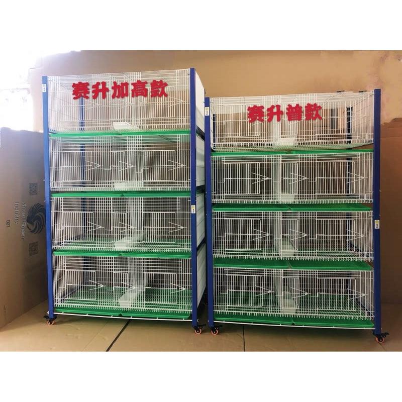 台式折叠式养鸽巢箱台湾养鸽加厚加高用笼架展示鸽子观察