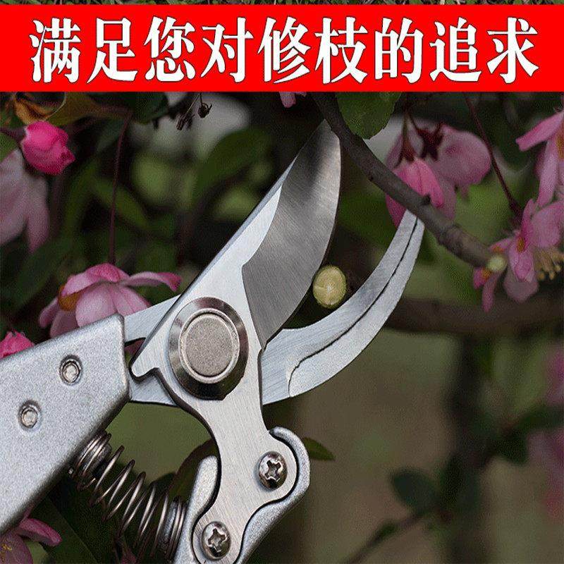 德国进口合全汇枝剪刀果树耐用家用锋利强力剪枝省力树枝,鲜花速递/花卉仿真/绿植园艺,剪刀,淘宝优惠券,粉丝福利购,淘宝优惠卷
