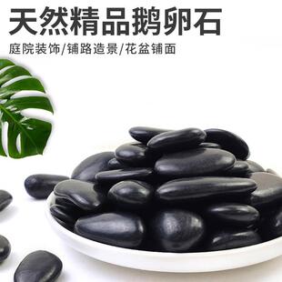 浙江高抛黑色鹅卵石子小黑石头庭院铺路雨花石鹅软石园艺阳台装饰