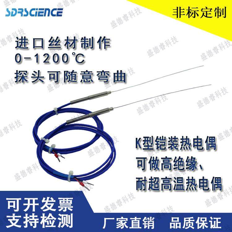 k型探针式铠装热电偶WRNK-191 偶 极细直径0.5mm 温度感测器 定制
