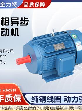 加工三相异步电动机YE3-100L1-4 2.2w高效节能机械设备用电机