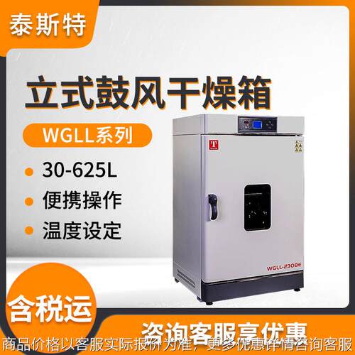 WGLL系列 液晶屏控制立式鼓风干燥箱 实验室干燥箱