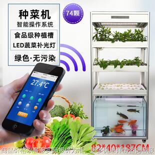家庭室内绿植阳台种花养鱼LED智能鱼菜共生蔬菜种植架机柜设备