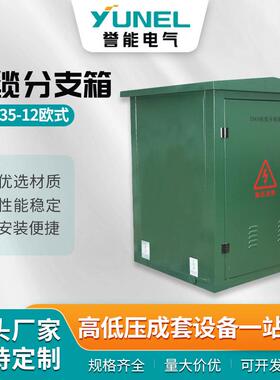 DFW35KV铜排高压电缆分支箱35KV电缆分接箱一进二三四出T对转接箱