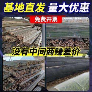 竹片菜棚搭棚子支架竹片竹坯子种菜简易小拱棚菜园蔬菜棚拱杆拱形