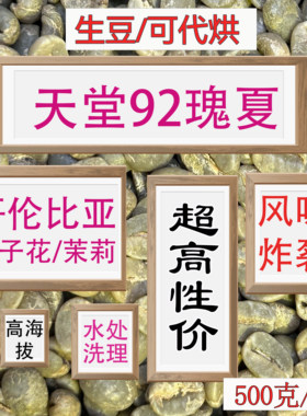 (咖啡生豆)哥伦比亚瑰夏咖啡豆手冲咖啡豆美式咖啡阿拉比卡咖啡