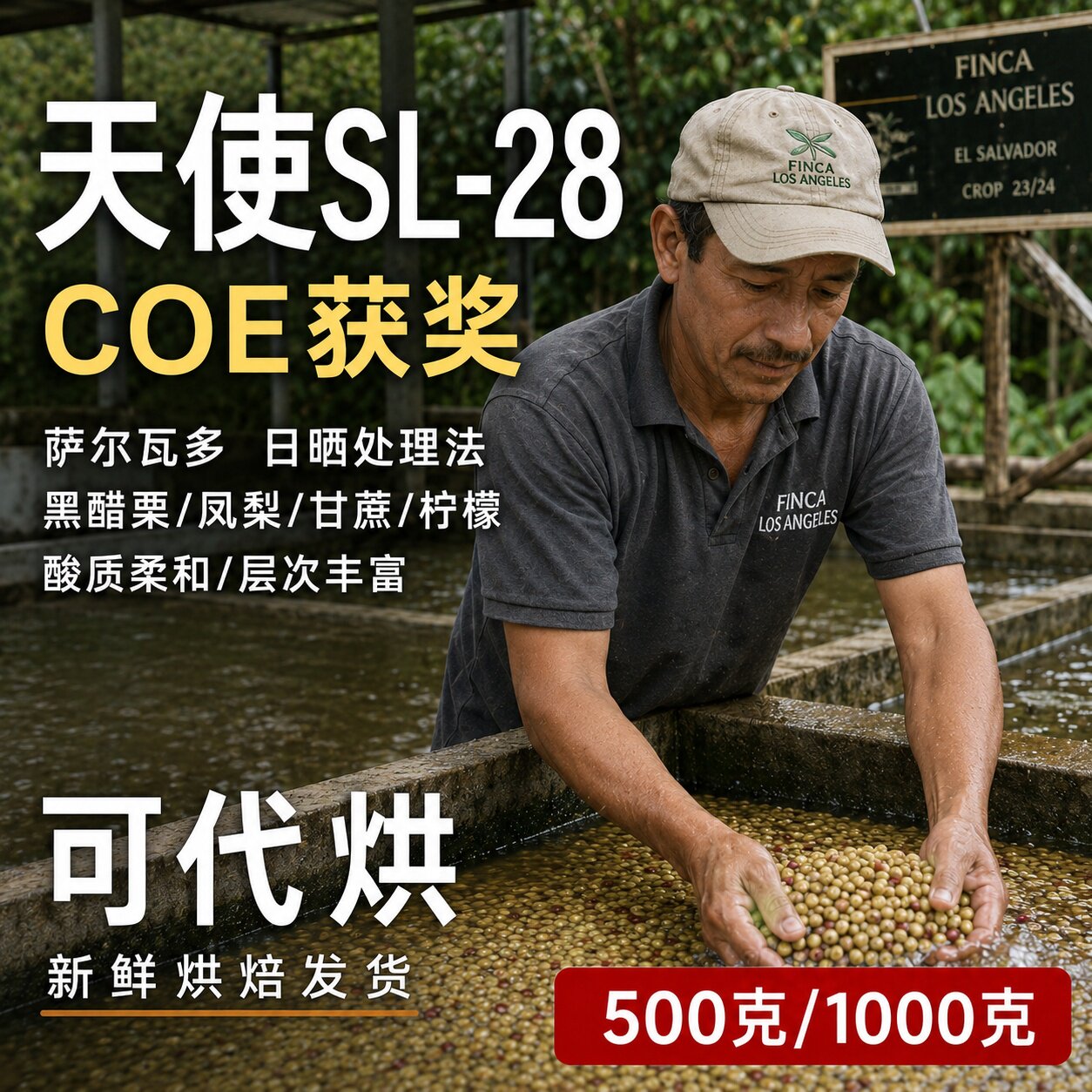 (咖啡生豆)纯种SL-28咖啡豆萨尔瓦多咖啡豆精品咖啡豆SL28咖啡豆图片
