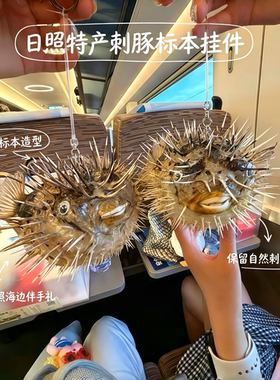 天然刺豚海洋生物标本挂件