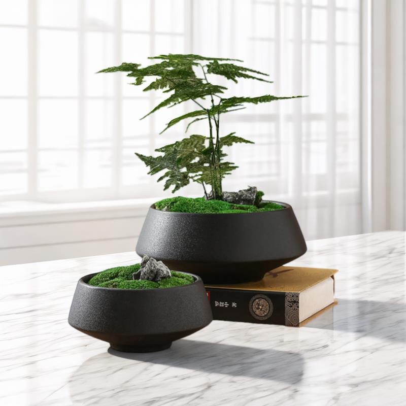 青苔苔藓陶瓷花盆微景观多肉矮浅文竹磨砂黑可水培果盘花卉简约风