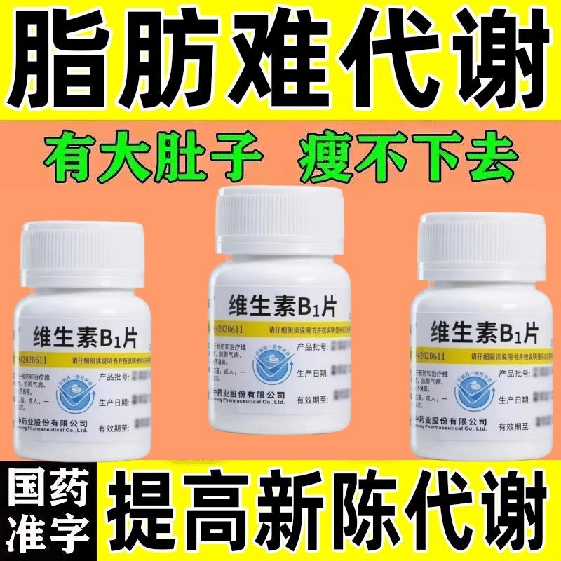 促进脂质代谢维生素B1减大肚腩赘肉大肚子减肥瘦大肚子治肥胖症药