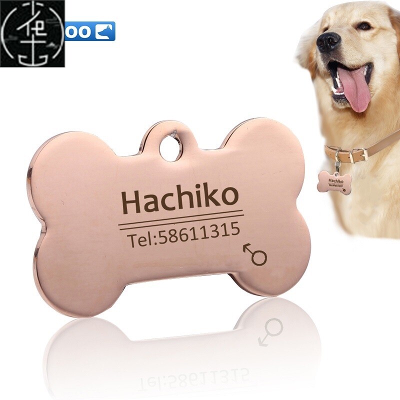 YVYOO Free engraving Pet Dog cat collar accessories Decorat