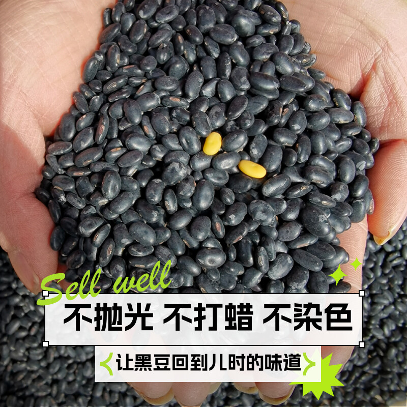 非转基因黑豆农家新黑豆老品种打豆浆发黑豆芽肾形黄芯黑豆5斤
