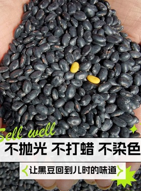 非转基因黑豆农家新黑豆老品种打豆浆发黑豆芽肾形黄芯黑豆5斤