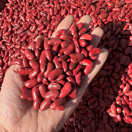 红芸豆500g*3大红豆农家自产
